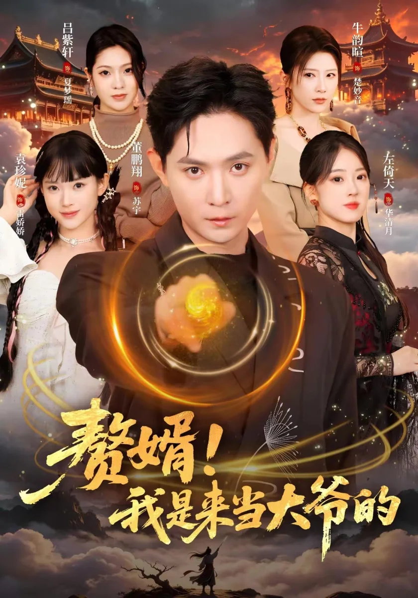 豪门赘婿霸气掀桌剧照海报